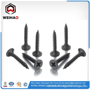 France salable Sharp Point drywall screw